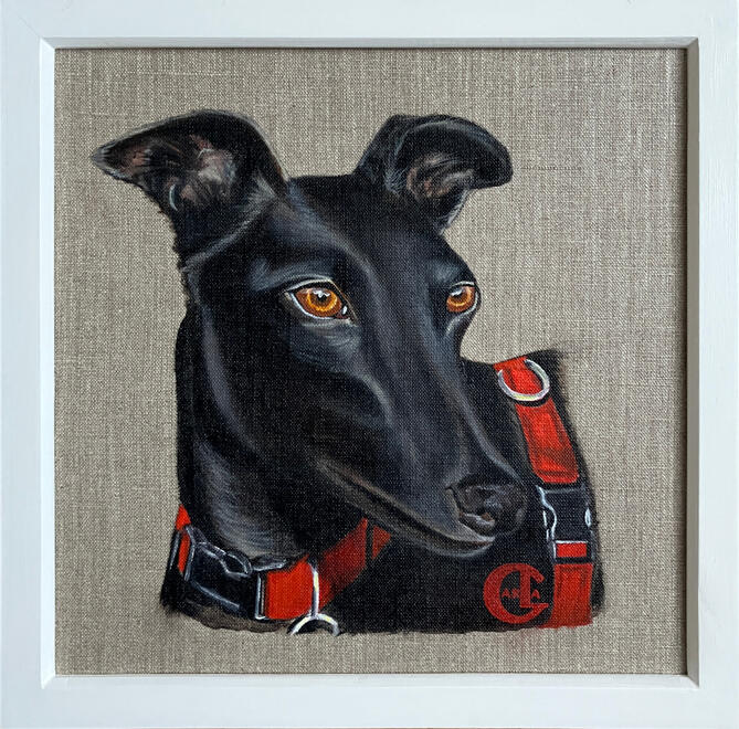 Dobby 30x30cm